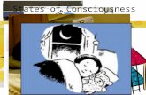 States of Consciousness. What do you think? Write your definition of consciousness. Get with a partner and share.