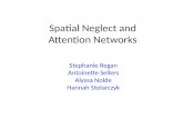 Spatial Neglect and Attention Networks Stephanie Regan Antoinette Sellers Alyssa Nolde Hannah Stolarczyk.