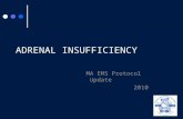 ADRENAL INSUFFICIENCY MA EMS Protocol Update 2010