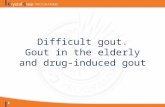 1 Difficult gout. Gout in the elderly and drug-induced gout