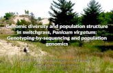 Genomic diversity and population structure in switchgrass, Panicum virgatum: Genotyping-by-sequencing and population genomics Geoff Morris*, Paul Grabowski,