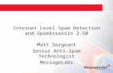 Internet Level Spam Detection and SpamAssassin 2.50 Matt Sergeant Senior Anti-Spam Technologist MessageLabs.