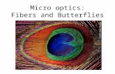 Micro optics: Fibers and Butterflies. Total internal reflection.