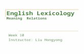 English Lexicology Meaning Relations Week 10 Instructor: Liu Hongyong.