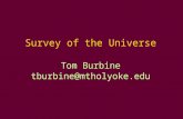 Survey of the Universe Tom Burbine tburbine@mtholyoke.edu.