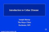 Copyright, The Mayo Foundation, 2005 Introduction to Celiac Disease Joseph Murray The Mayo Clinic Rochester, MN.