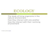 ECOLOGY The study of living organisms in the natural environment How they interact with one another How the interact with their nonliving environment ©