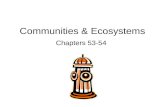 Communities & Ecosystems Chapters 53-54. Communities A community is an assemblage of populations in an area or habitat. Are species in a community independent.