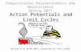 Action Potentials and Limit Cycles Computational Neuroeconomics and Neuroscience Spring 2011 Session 8 on 20.04.2011, presented by Falk Lieder.