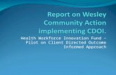 Health Workforce Innovation Fund – Pilot on Client Directed Outcome Informed Approach.