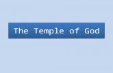 The Temple of God. God Dwells With His People EDEN Genesis 3:8-9 2.