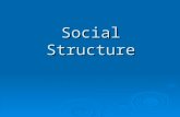 Social Structure. Building Blocks of Social Structure ïƒ Social structure is the network of interdependent statuses and roles that guide human interaction