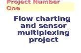 Project Number One Flow charting and sensor multiplexing project.