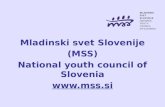 Mladinski svet Slovenije (MSS) National youth council of Slovenia  April 2014.