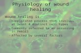 Physiology of wound healing Wound healing is: – Complicated process that involves at least 4 distinct cell types – Commonly referred to as occurring in.