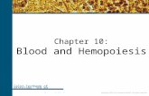 Copyright 2007 by Saunders/Elsevier. All rights reserved. Chapter 10: Blood and Hemopoiesis Color Textbook of Histology, 3rd ed. Gartner & Hiatt Copyright