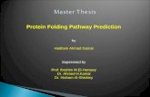 Protein Folding Pathway Prediction Supervised by Prof. Ibrahim M.El-Henawy Dr. Ahmed H.Kamal Dr. Hisham Al-Shishiny by Haitham Ahmad Gamal.
