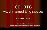 GO BIG with small groups PALCON 2010 Dr. Woodie J. Stevens Global Discipleship Ministries Director.