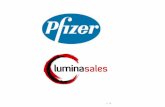 © 2011 Lumina Learning. All rights reserved.. © 2012 Lumina Learning. All rights reserved. Business Need: Pfizer’s sales force needed to develop their.