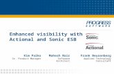Enhanced visibility with Actional and Sonic ESB Frank Beusenberg Applied Technology Consultant Mahesh Nair Software Architect Kim Palko Sr. Product Manager.