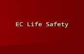 EC Life Safety FIRE SAFETY  MEDDAC REGULATION 420-90 All personnel are responsible to know the evacuation routes and protocol for drills and actual.