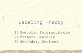 Labeling Theory 1)Symbolic Interactionism 2)Primary Deviance 3)Secondary Deviance.