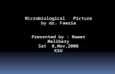 Microbiological Picture by dr. Fawzia Presented by : Rawan Melibary Sat 8,Nov,2008 KSU.