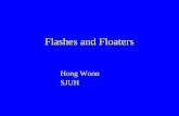 Flashes and Floaters Hong Woon SJUH. Flashes and Floaters Flashes AND Floaters occurring together Virtually pathognomic for Posterior Vitreous Detachment.