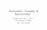 Perineal Trauma & Epsiotomy Prepared By: Mr’s Raheegeh AWNI 07/10/2010.