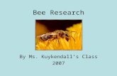 Bee Research By Ms. Kuykendall’s Class 2007. Honeybees and Honey By William, Devin and Franklin Honeybees make honey so they have food to eat.