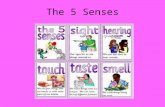 The 5 Senses HELLO STUDENTS! This is an interactive PowerPoint about the 5 senses! You are in charge of how you go through and finish this PowerPoint.