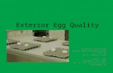 Exterior Egg Quality Created by Connie Page Emanuel County Extension Agent P.O. Box 770 129 N. Anderson Drive April, 2006 Swainsboro, GA 30401 478-237-1226.