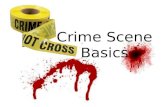 Crime Scene Basics. The Crime Scene Crime Scene- any physical location in which a crime has occurred or is suspected of having occurred – Classifications: