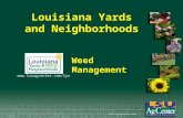 Louisiana Yards and Neighborhoods Weed Management .