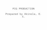 PIG PRODUCTION Prepared by Akinola, O. S.. INTRODUCTION The pig is one of the oldest domesticated animals Majority of the breeds we now know are descended.