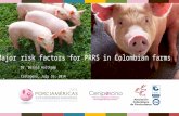 Major risk factors for PRRS in Colombian farms Dr. Derald Holtkamp Cartagena, July 16, 2014.