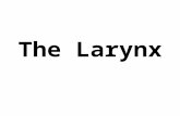 The Larynx. Objectives Describe anatomical structure of larynx. Enlist the cartilages of the larynx. Define inlet of the larynx. Enlist the extrinsic.