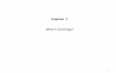 Chapter 1 What is Sociology? 1. Definition of Sociology Sociology is the study of human behavior in society. Sociology is a scientific way of thinking.
