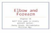 Elbow and Forearm Chapter 18 Half this game is ninety percent mental. Danny Ozark, Philadelphia Phillies Mgr.