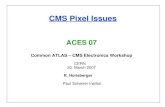CMS Pixel Issues ACES 07 Common ATLAS – CMS Electronics Workshop CERN 20. March 2007 R. Horisberger Paul Scherrer Institut.