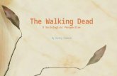 By Kelly French The Walking Dead A Sociological Perspective.