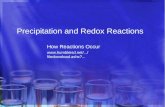 Precipitation and Redox Reactions How Reactions Occur ...