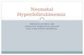 MELISSA NELSON, MD NEONATAL-PERINATAL FELLOW YALE-NEW HAVEN HOSPITAL Neonatal Hyperbilirubinemia