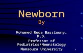 1 Newborn By Mohamed Reda Bassiouny, M.D. Professor of Pediatrics/Neonatology Mansoura University.