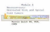 Module 8 Neurosensory: Herniated Disk and Spinal Cord tumors Marnie Quick RN, MSN, CNRN.