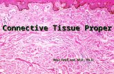 Connective Tissue Proper Won Taek Lee, M.D., Ph.D.