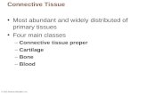 © 2013 Pearson Education, Inc. Connective Tissue Most abundant and widely distributed of primary tissues Four main classes –Connective tissue proper –Cartilage.