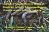 Application Timing for Maximum Efficacy of Insecticides to Control European and Common Crane Fly Larvae in the Pacific Northwest G.K. Stahnke, A.L. Antonelli,