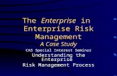 The Enterprise in Enterprise Risk Management A Case Study CAS Special Interest Seminar Understanding the Enterprise Risk Management Process.
