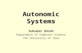 Autonomic Systems Sukumar Ghosh Department of Computer Science The University of Iowa.